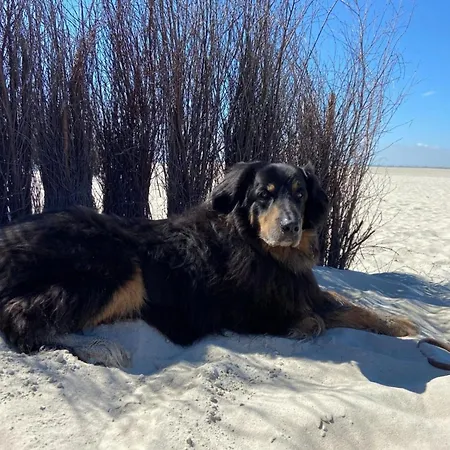 Ferien Im Wangerland - Haus Wiesenweg - 3 1og Horumersiel