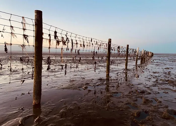 公寓 Ferien Im Wangerland - Haus Wiesenweg - 3 1og 霍鲁梅尔希尔